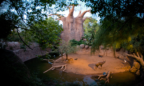 Bioparc Fuengirola