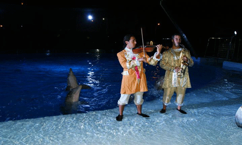 Selwo Marina at night