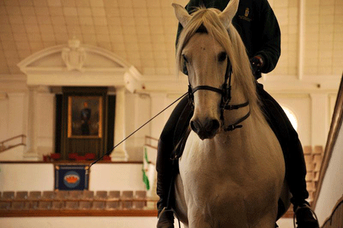 Jerez caballos show