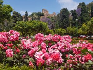 Malaga