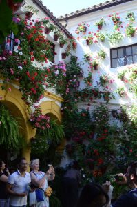 OveLu_PatiosCordoba