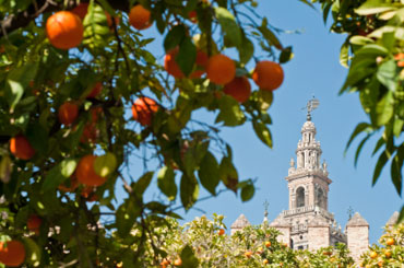 Seville