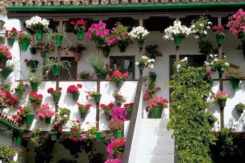 Courtyards cordoba