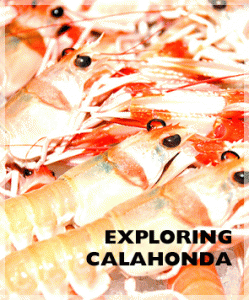Calahonda