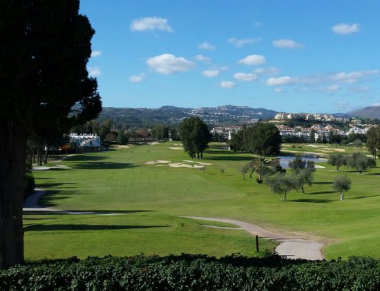 OLIVOS COURSE in Malaga