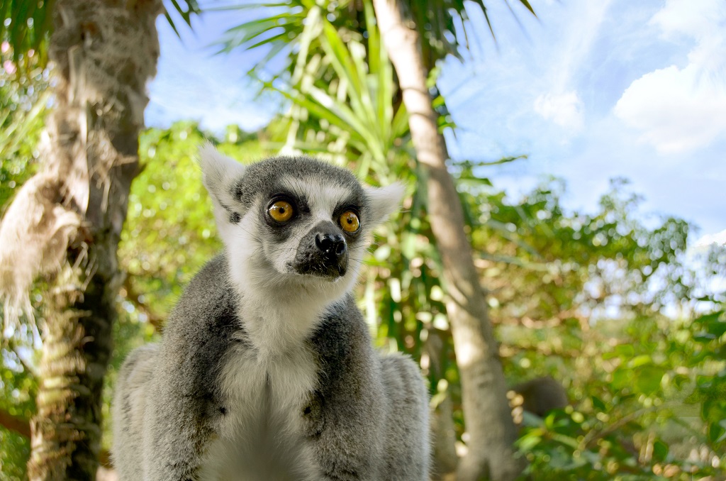 bioparc