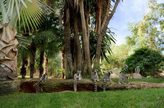 bioparc