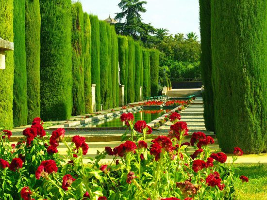 Cordoba gardens