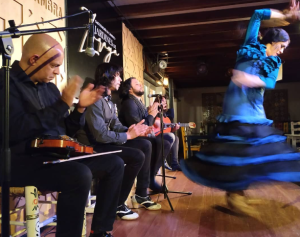 tablao flamenco Jardines de Zoraya