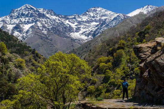 Vereda de la Estrella Sierra Nevada
