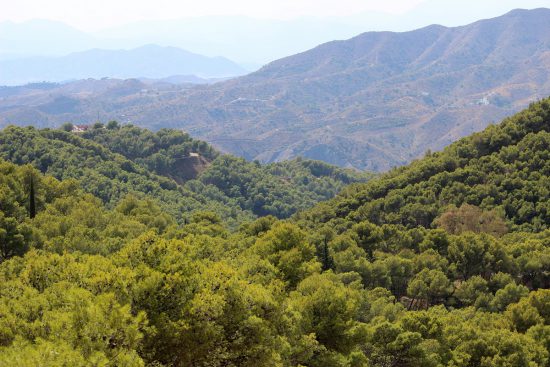 Montes de Malaga