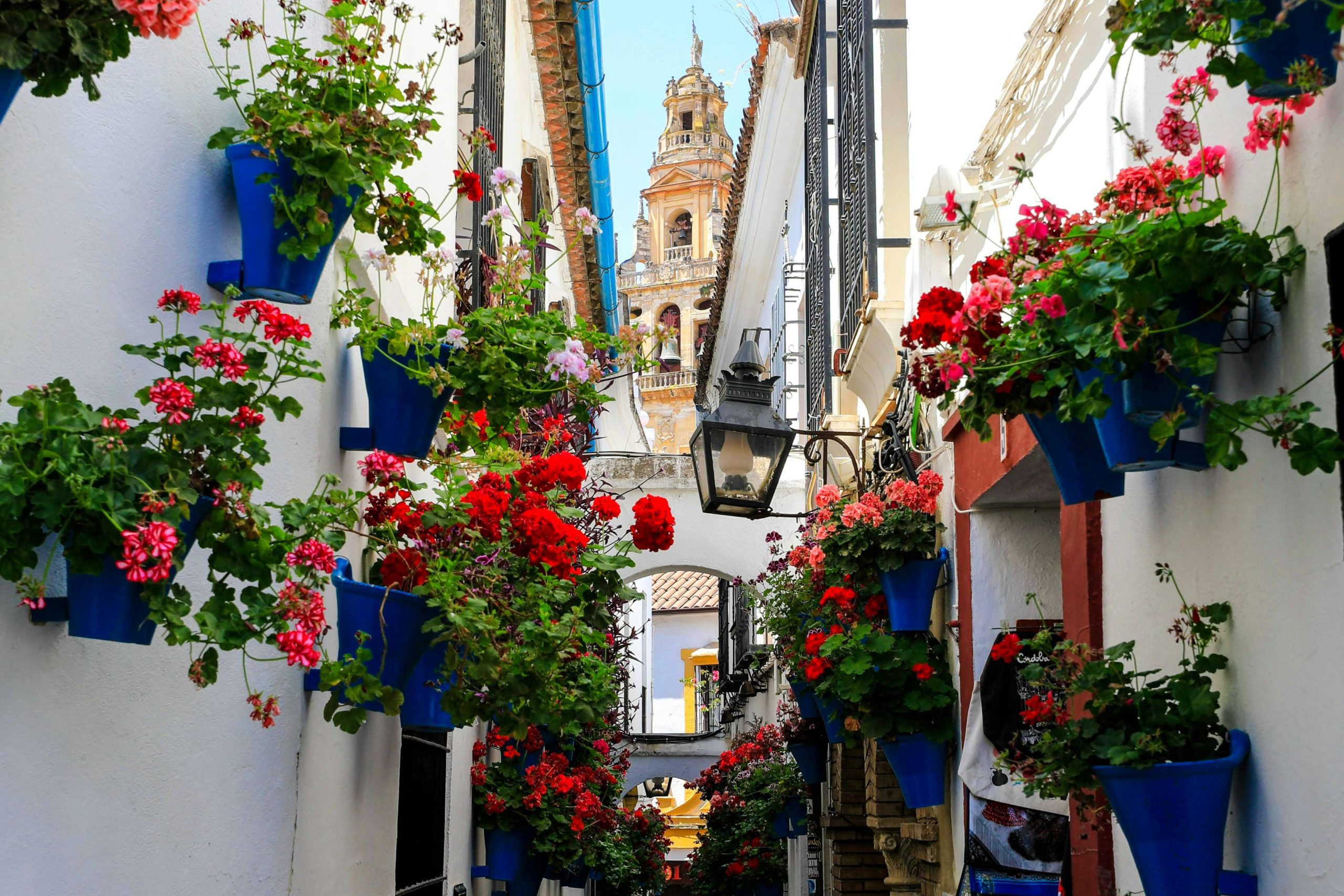 Callejón de flores en Córdoba