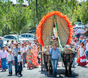 Romería de San Miguel en Torremolinos