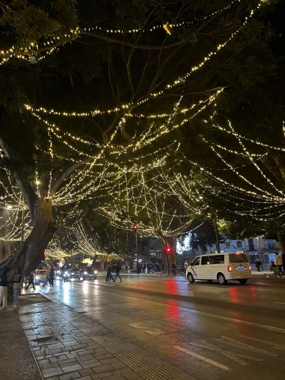 Christmas lights in Paseo del Parque Málaga