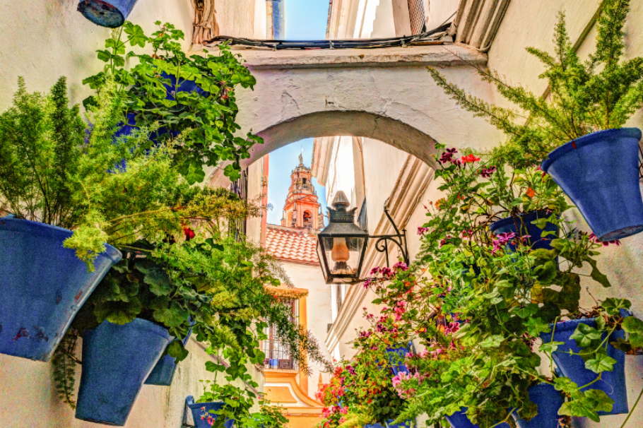 Calleja de las Flores: das bekannteste Fotomotiv Córdobas