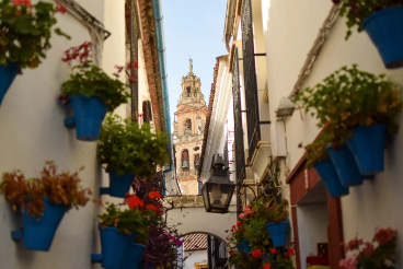 Calleja de las Flores: das bekannteste Fotomotiv Córdobas Enge Straße im jüdischen Viertel von Córdoba mit blauen Blumentöpfen und bunten Blumen