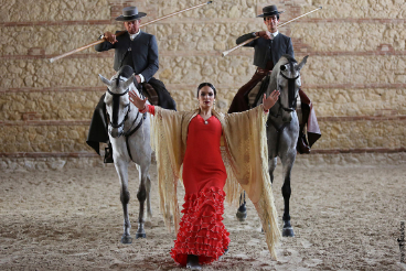 Leidenschaft und Eleganz des Andalusischen Pferdes in den Königlichen Stallungen Pferdeshow in den Königlichen Stallungen von Córdoba mit Andalusiern und Flamenco