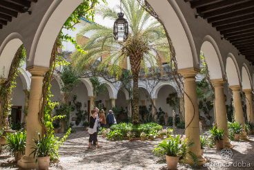 Palacio de Viana: das Museum der Patios von Córdoba Hauptinnenhof des Palacio de Viana in Córdoba mit Bögen und üppiger Begrünung